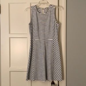 J Crew Stripe Dress